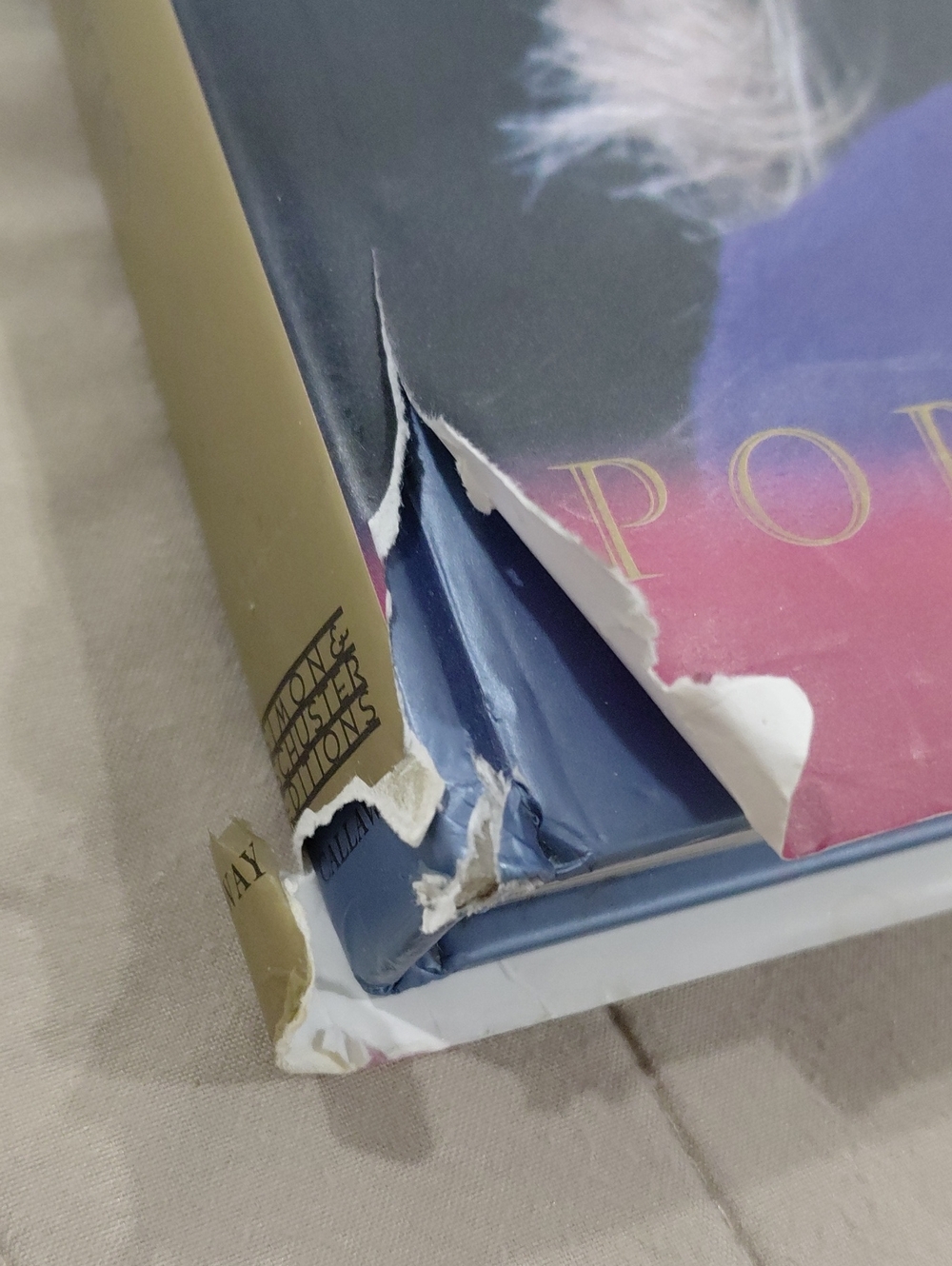 Diana Portrait of a Princess - Purple Hardcover Photo Book - Picture 7 of 9